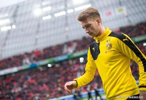 罗伊斯几次无缘世界杯,罗伊斯缺席世界杯