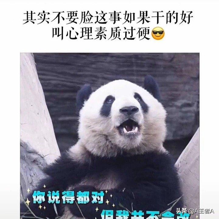 让人瞬间笑喷的短句笑话,幽默风趣的俏皮句子每日一笑