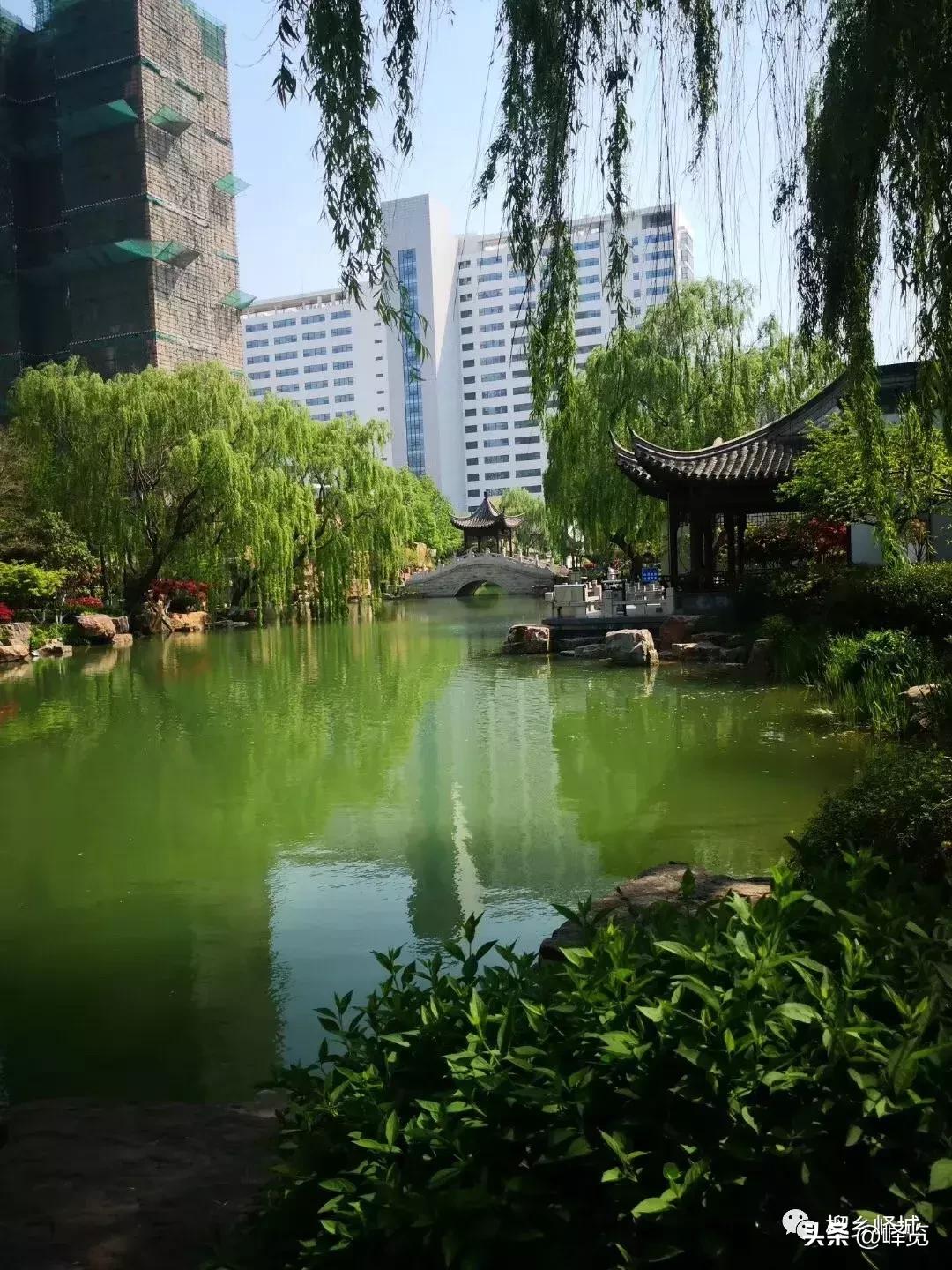 枣庄市党政考察团杭州行,临沂市考察团到济宁