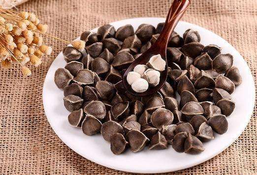 辣木籽价格哪里有卖,辣木籽的价格大约是多少