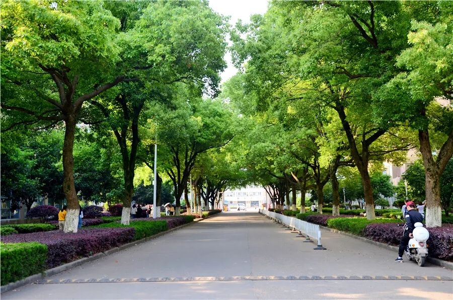 厉害了我的大学！100张图告诉你，有一种青春叫瑶湖高校！