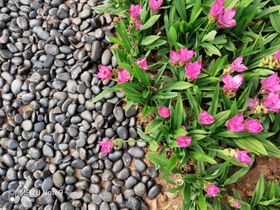 魅族note9全部功能,魅族note9能不能吹一波