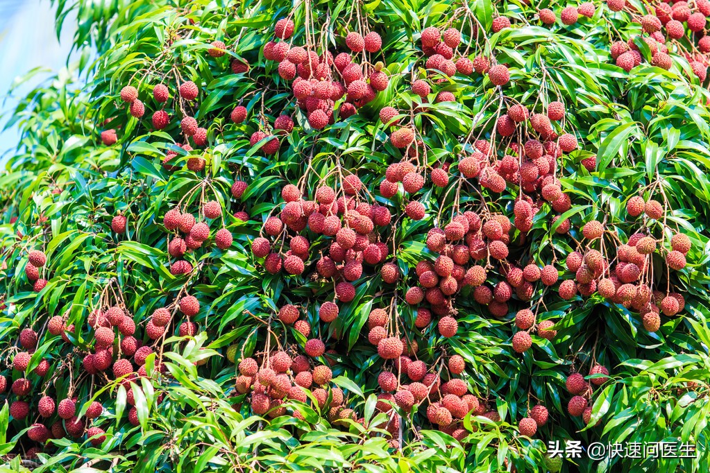 除湿气吃什么水果最好最快,四种水果越吃越瘦