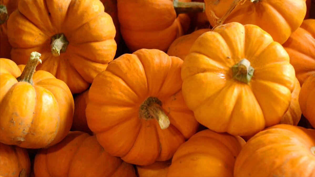 秋季滋补多吃10种食物,秋季食疗养生食谱