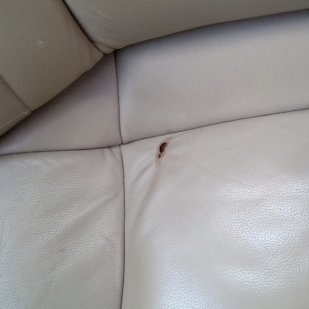 日本三菱汽车现状,被三菱遗忘的车型