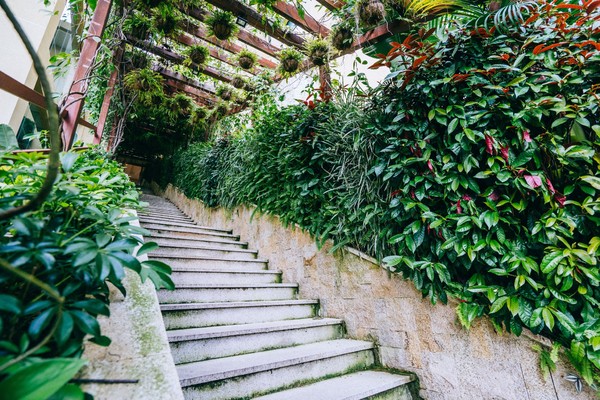 广州白水寨嘉华温泉酒店附近游玩,广州白水寨嘉华温泉酒店亲水房