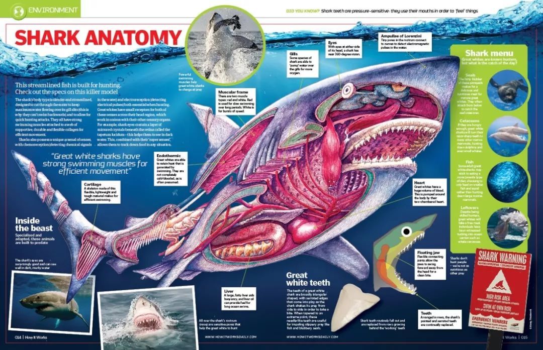 走近科学为什么停播了,走近科学为啥停播了