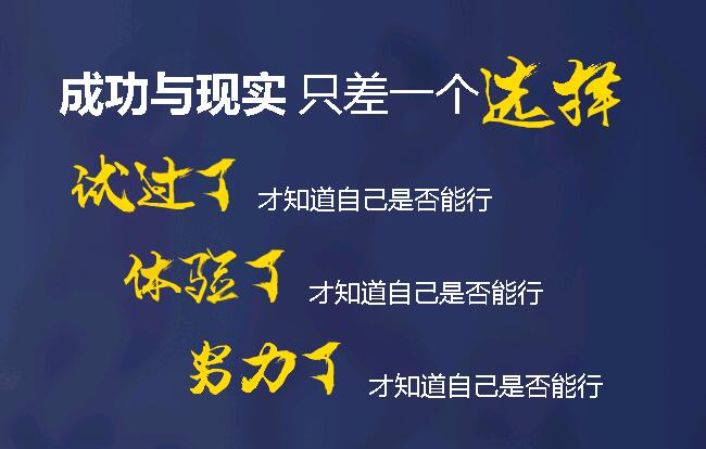 北大青鸟信鸽,郑州北大青鸟翔天信鸽学院