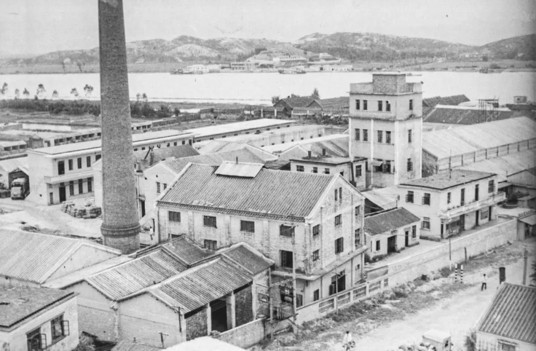 珠海斗门故事,斗门皇妹啤酒