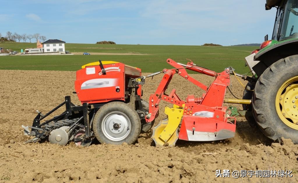 绿化草种种植方法,绿化种草籽的正确方法