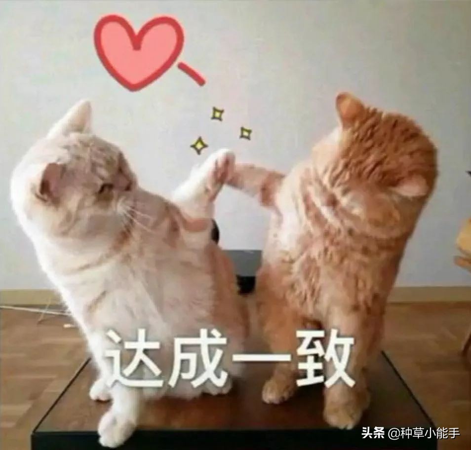 平价lamer,100块lamer套装