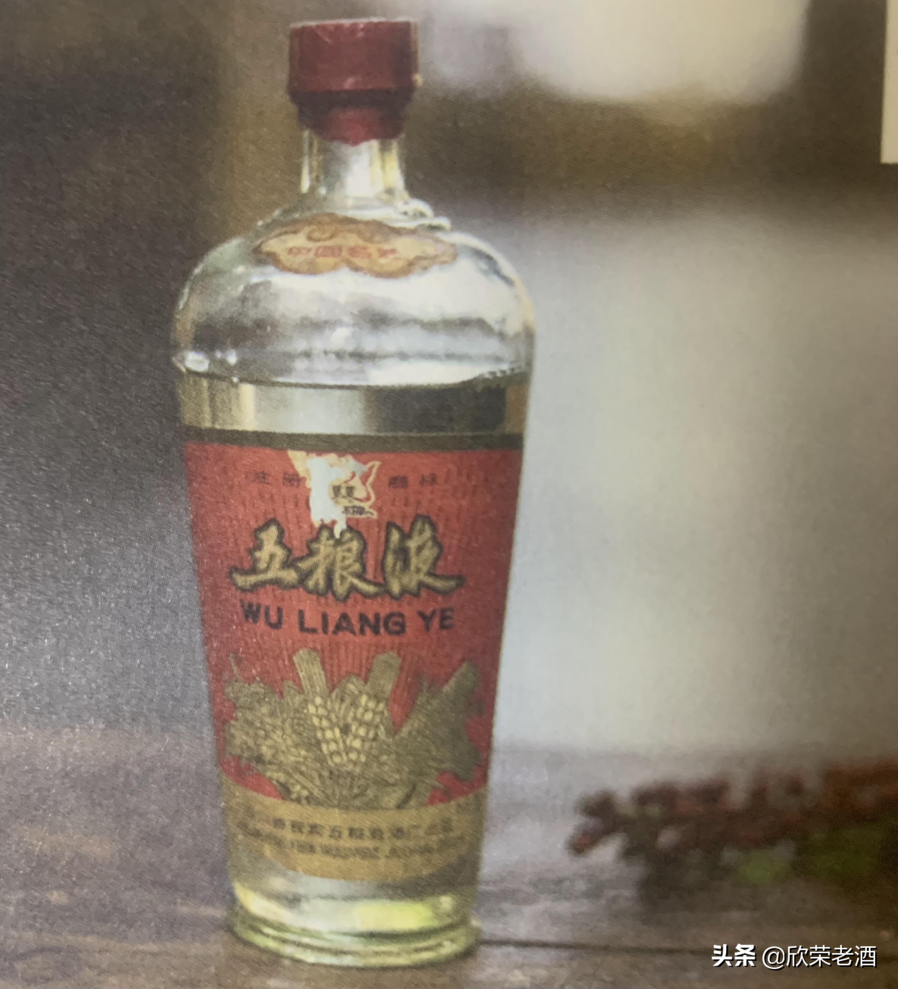 陈年老酒收藏品鉴2009年,十大收藏名酒小酒版