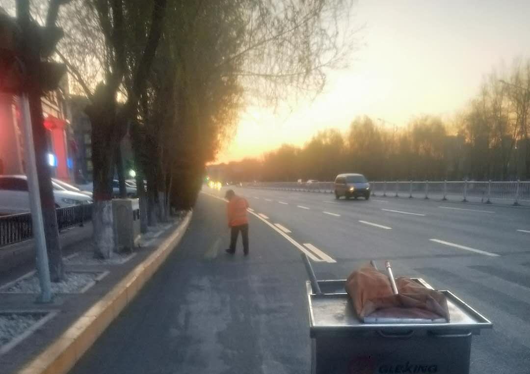 “城市黄玫瑰绽放新英姿”