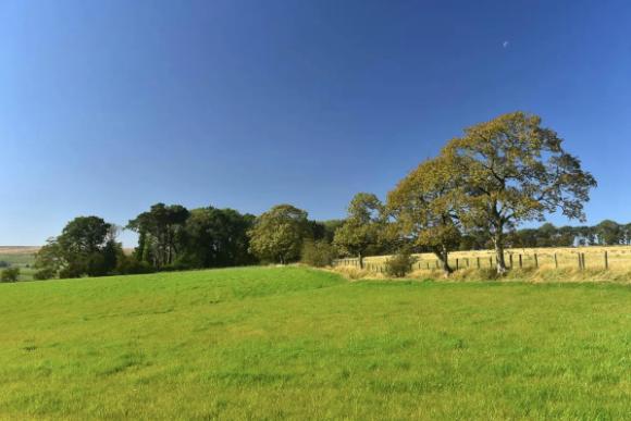 英国伦敦50亩的庄园别墅出售,英国300亩庄园出售