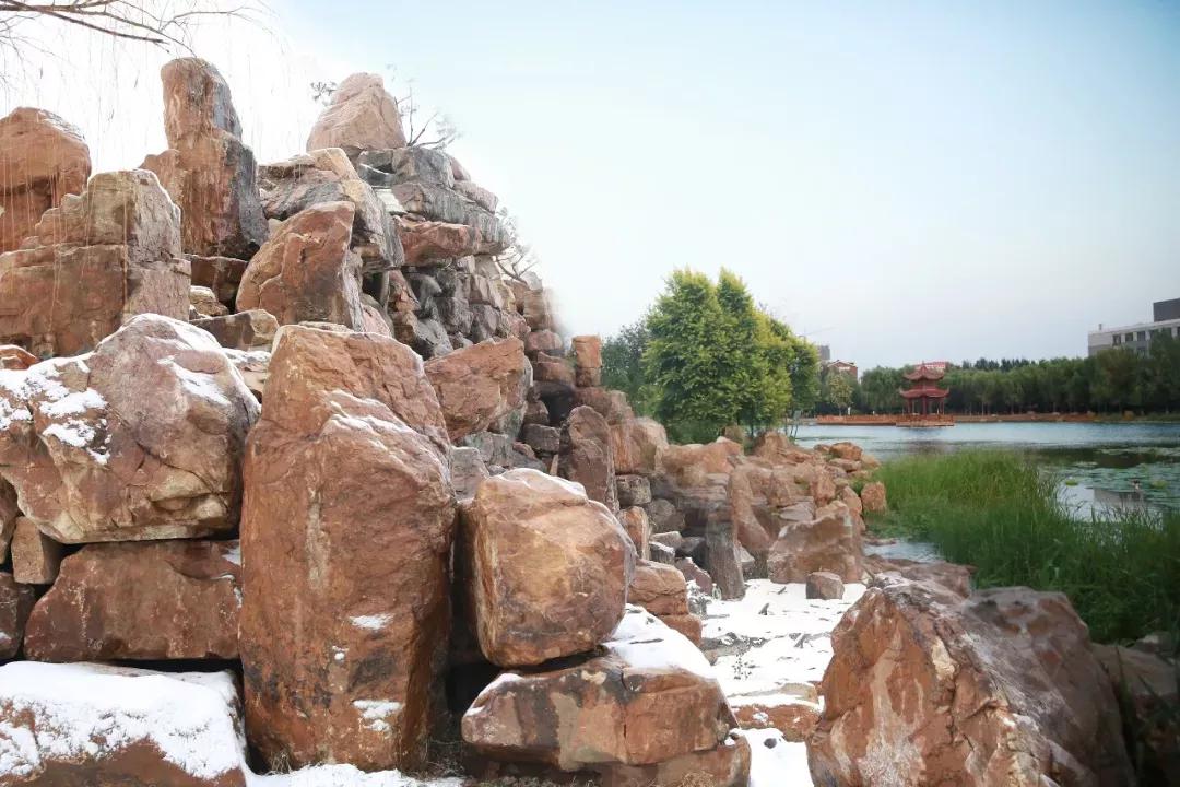 辽宁中医药大学杏林学院规模,辽宁中医学院杏林学院的排名