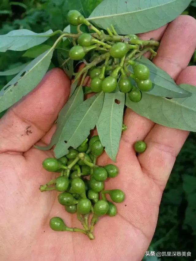 酸汤鱼的做法凯里酸汤鱼,来凯里吃豆花面