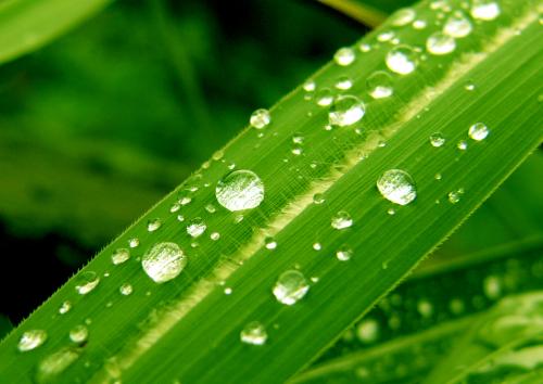 罗曼罗兰精选集,罗曼罗兰寂寞