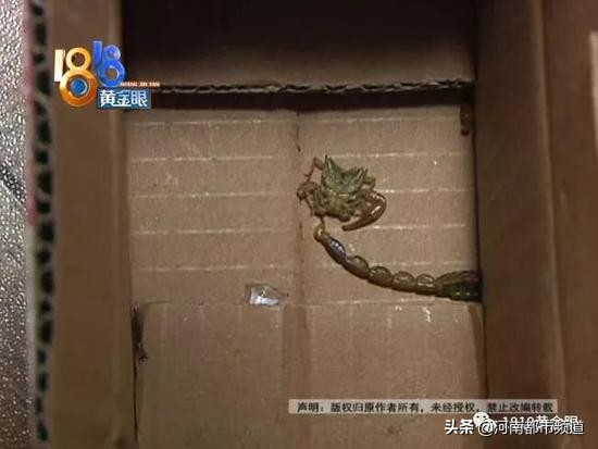 浙江妈妈拆快递,浙江妈妈拆快递完整视频