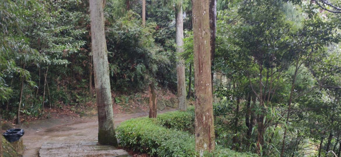 雨中游大奇山,雨中游太湖