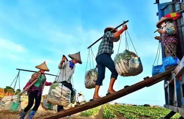 一个误导了中国人5000年的词：勤劳致富