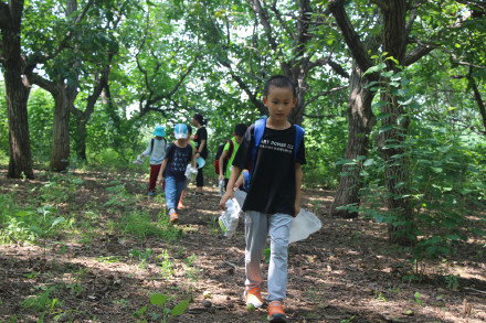喂萌宠，捡鸡蛋，大自然里快乐多，精诚文化学校暑期班走进大自然