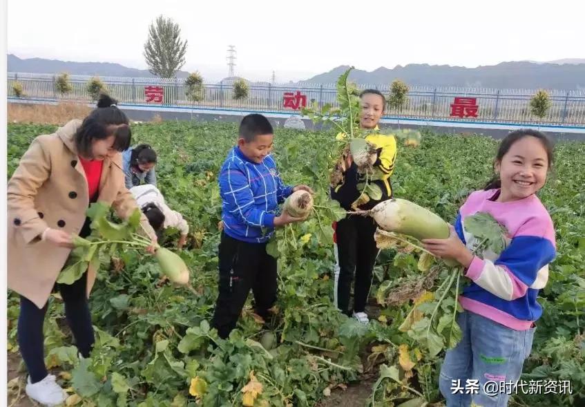 北洋小学灵丘招生,灵丘市北洋小学多少学费