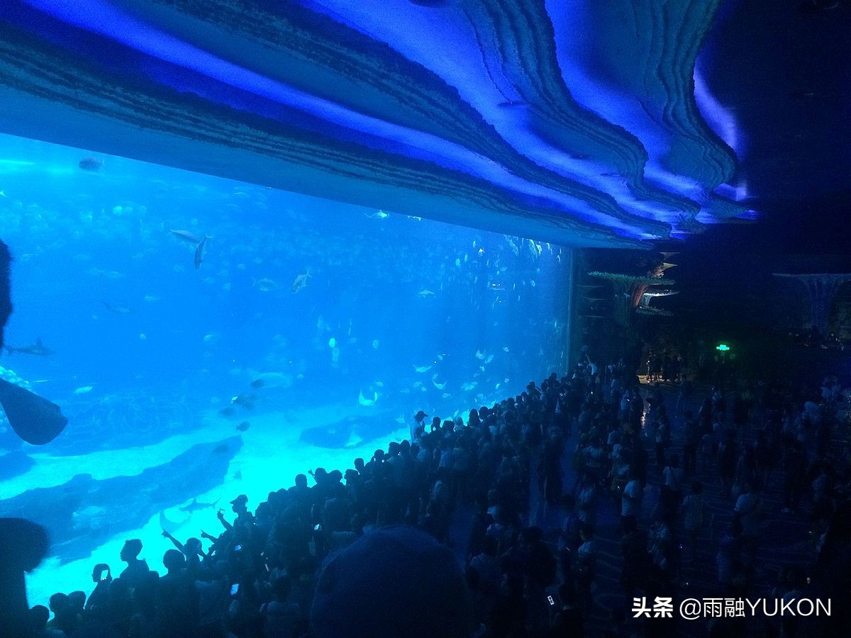 国内最大的海洋主题公园,世界最大的中国海洋公园