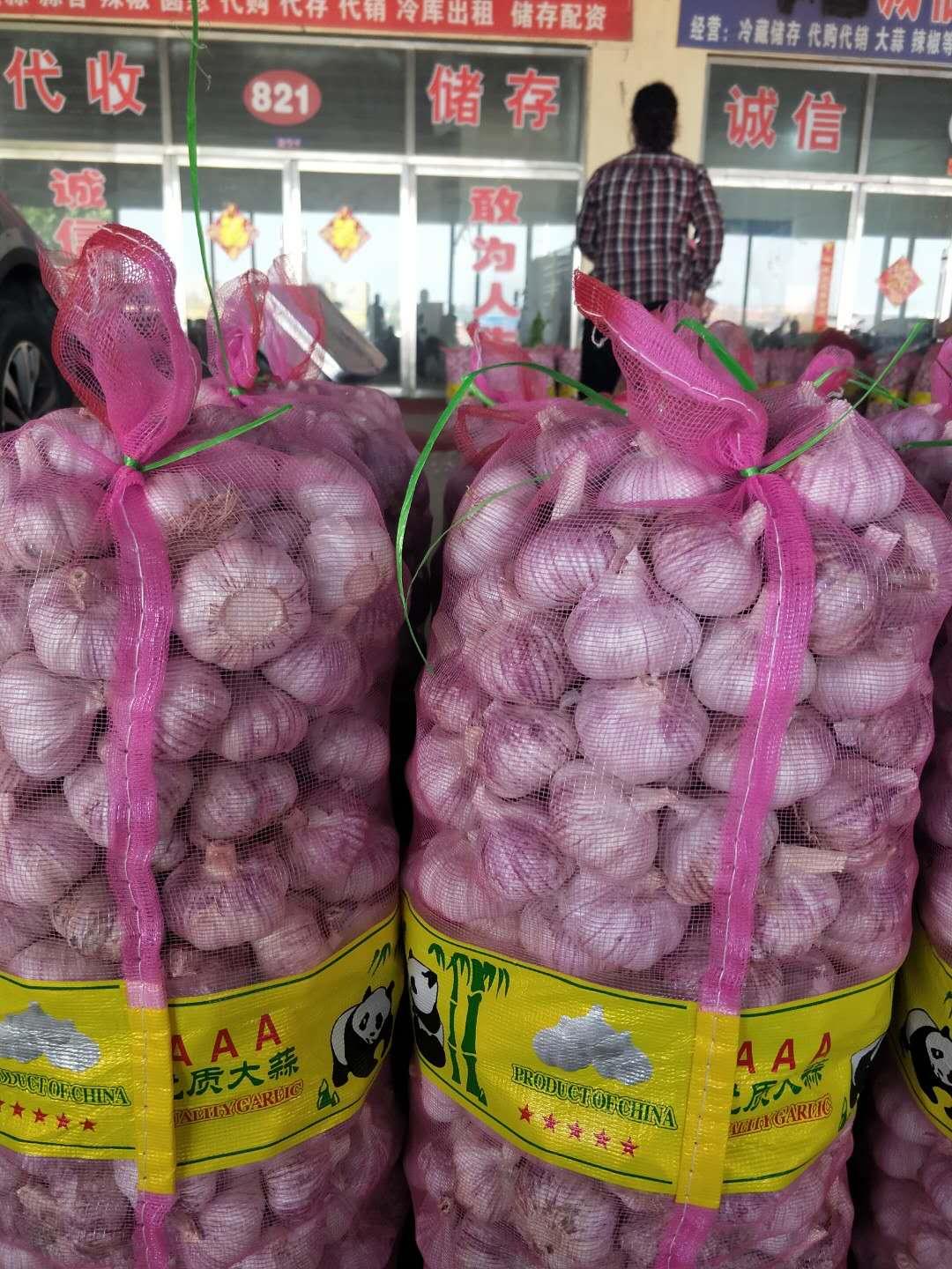 小伙没学历进公司,没学历小伙进公司