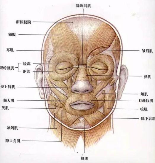 锻炼面部肌,锻炼面部肌肉视频教程