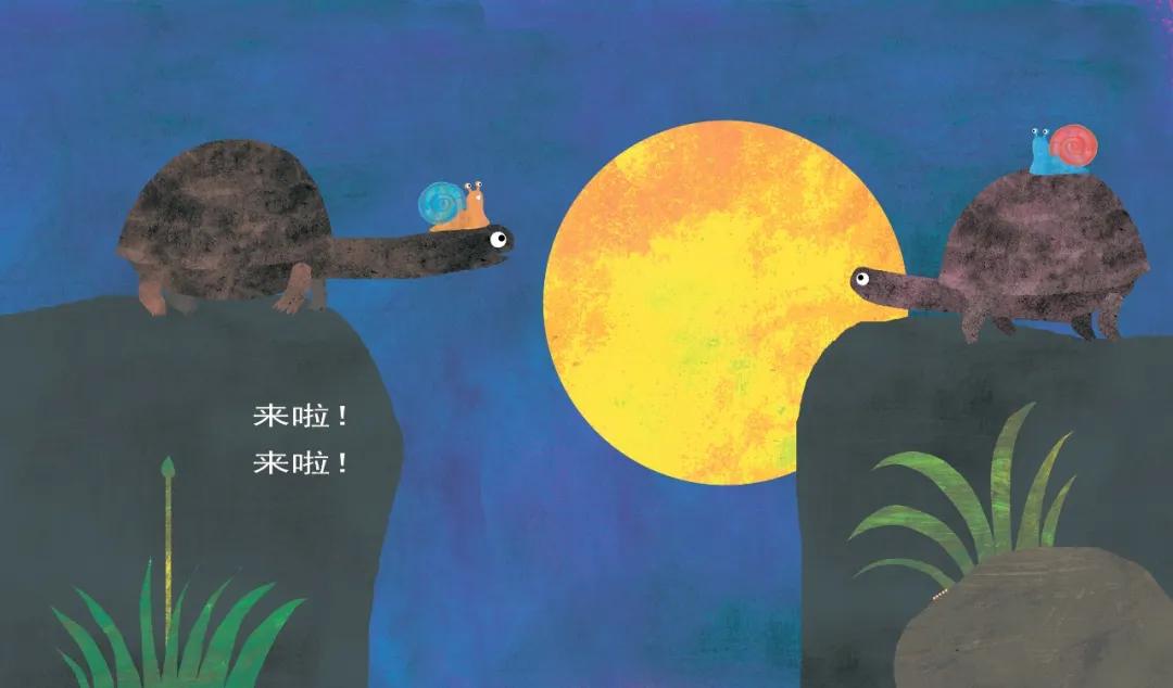 东方娃娃原创绘本奖公众号,儿童原创绘本巡回展