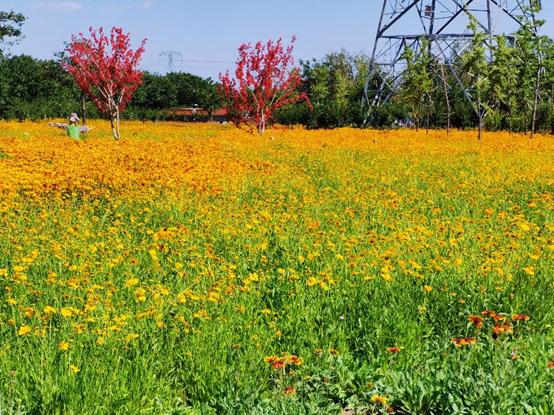 北京附近有什么亲子农场适合遛娃,北京亲子游玩农场推荐地点有哪些