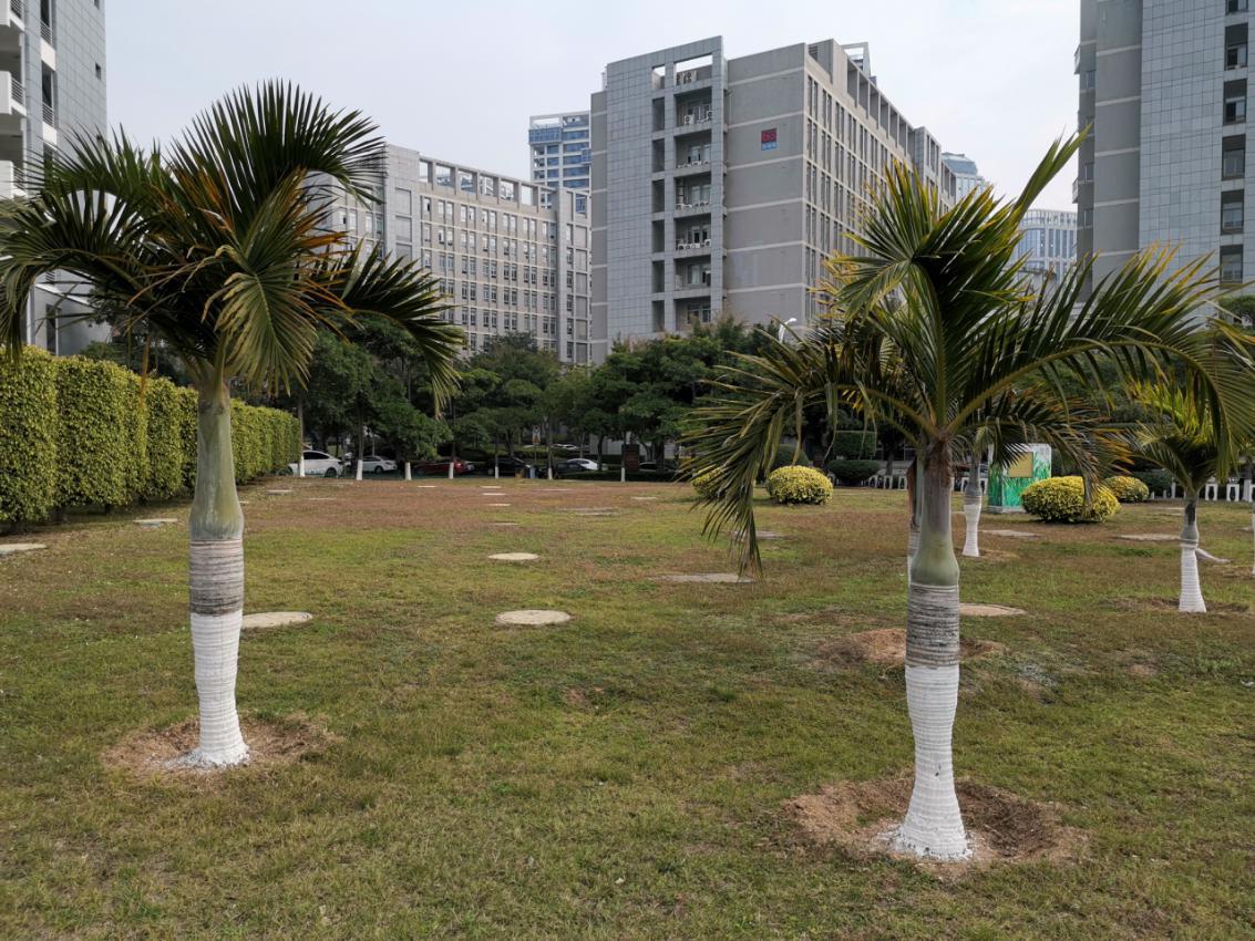 2999的荣耀v20值得购买吗,2999的荣耀v20对比华为mate20