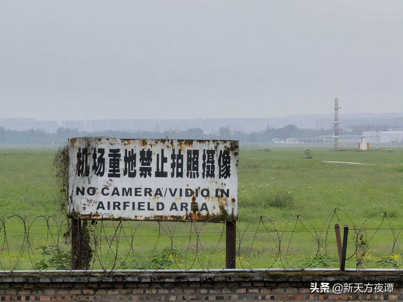 注意！不仅修剪自己种的树会被罚，这些不起眼的行为也会违法