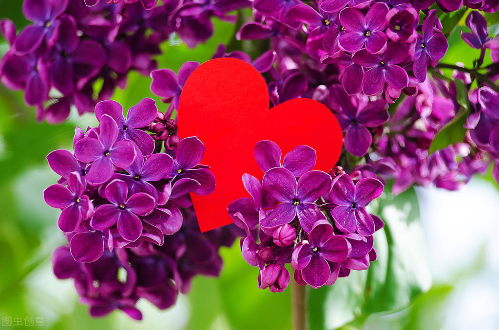 我眼中的女性形象,外地人眼里的上海女人