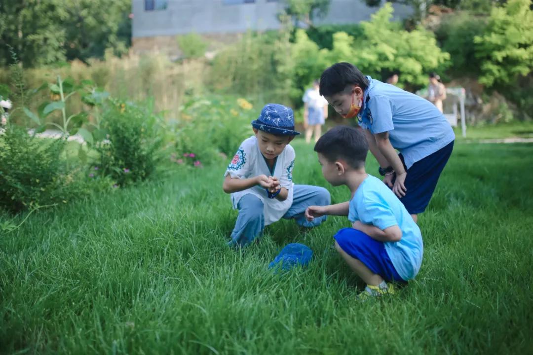 住进超梦幻玻璃星球，体验“全国最有文化特色必睡民宿”，还有网红露营地等你来！