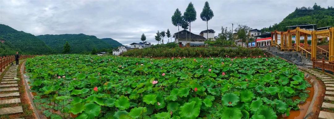 最美的人间四月天演唱视频,最美的人间四月天如约而至