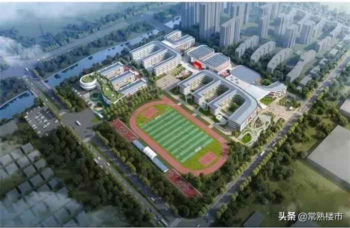 毫不夸张！国际医疗+酒店+学校，这才是南部新城的爆点