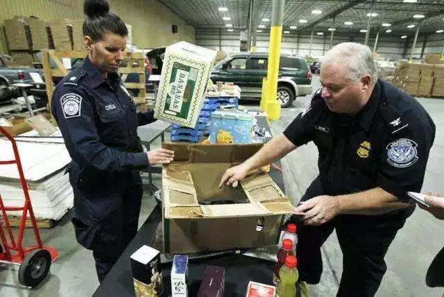 美国清关行如何清关,严查进口贸易严吗