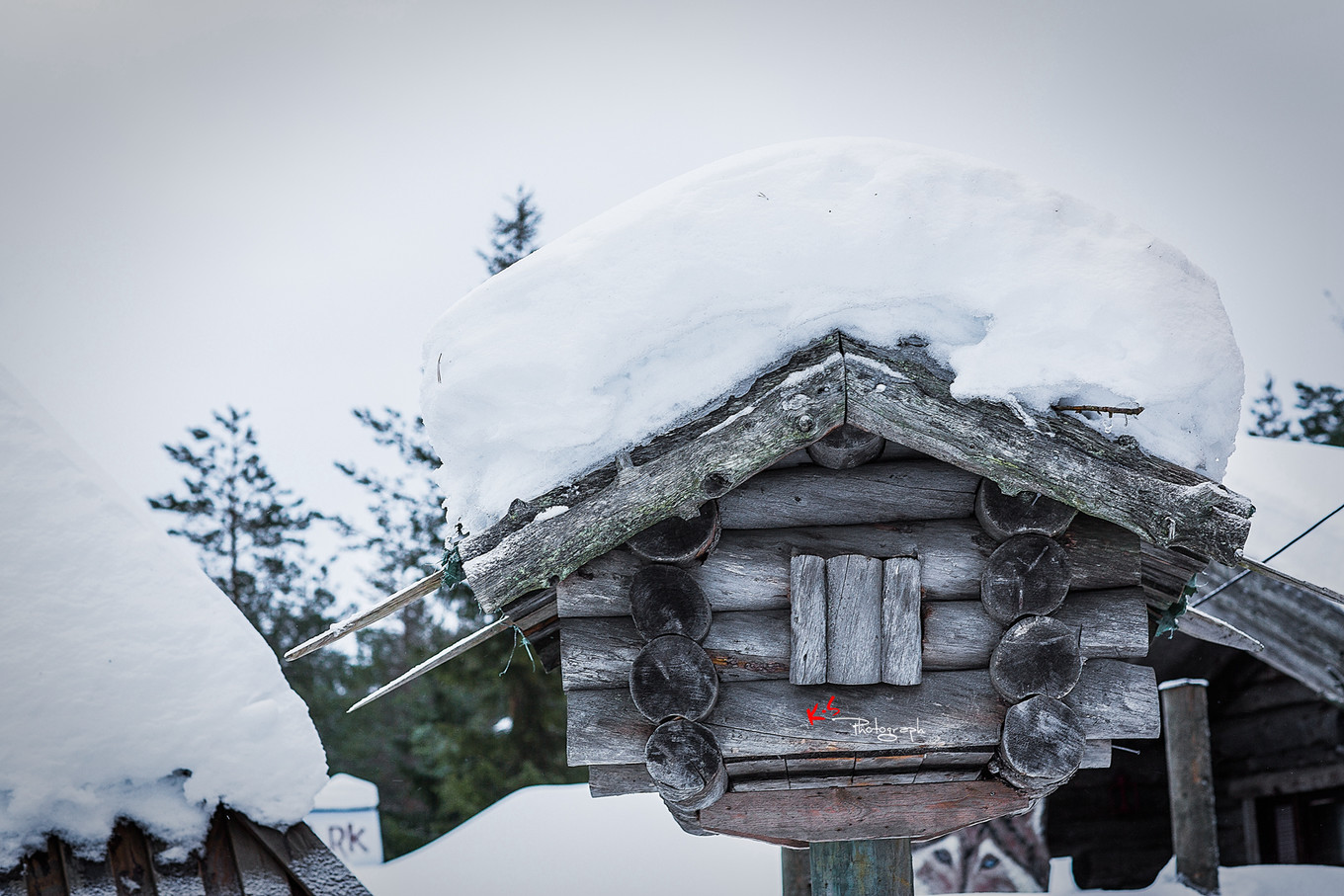 果小姐的日常,果小姐的慢生活