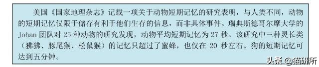 猫咪的记忆是多长时间,猫咪的记忆是永远的吗