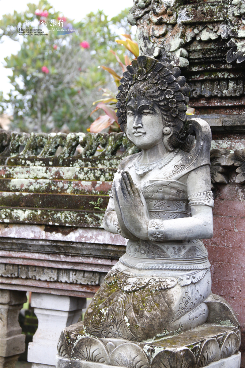 在印尼见识传说中最昂贵的猫屎咖啡