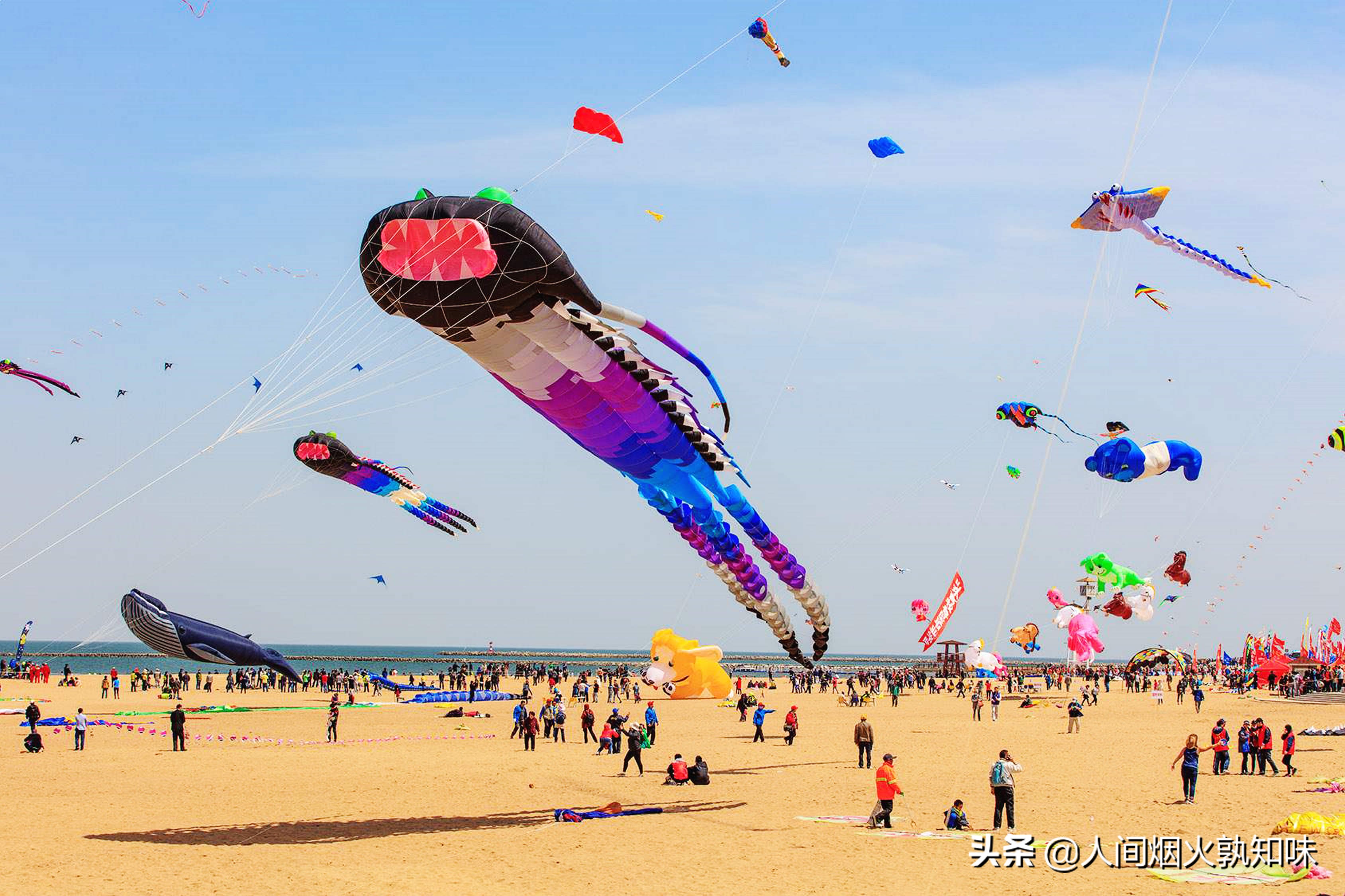 潍坊是世界风筝之都,潍坊在第几年被称为世界风筝之都