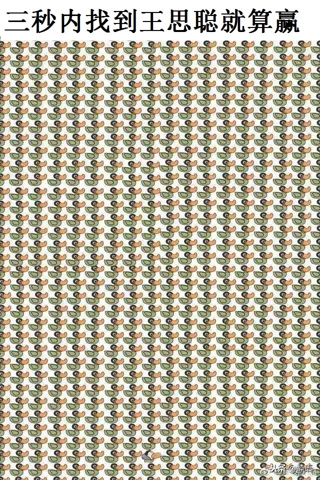 微信小程序舔狗,好玩实用的沙雕小程序推荐