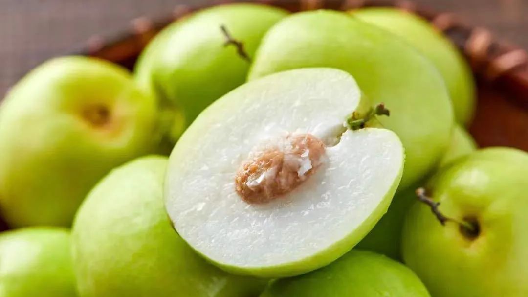 台湾牛奶枣最新品种,台湾特大牛奶枣