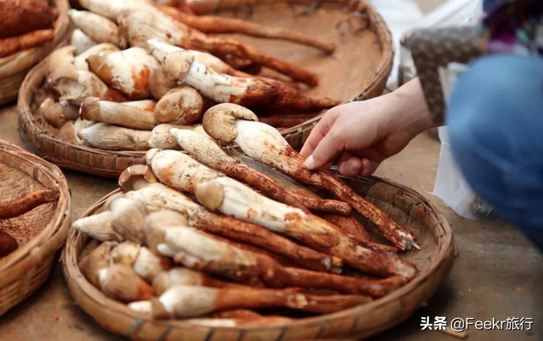 挖到了云南人都点赞的“美食线路”！菌子当道，夏季去度假正好