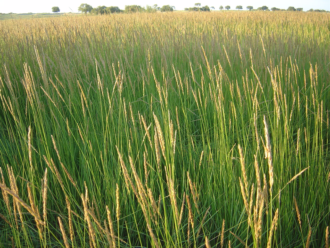 高效生态农业规模化,高效生态农业项目简介