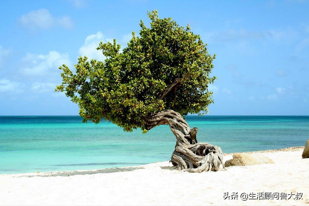 细数世界十大迷人海滩,深圳适合五一去的海滩