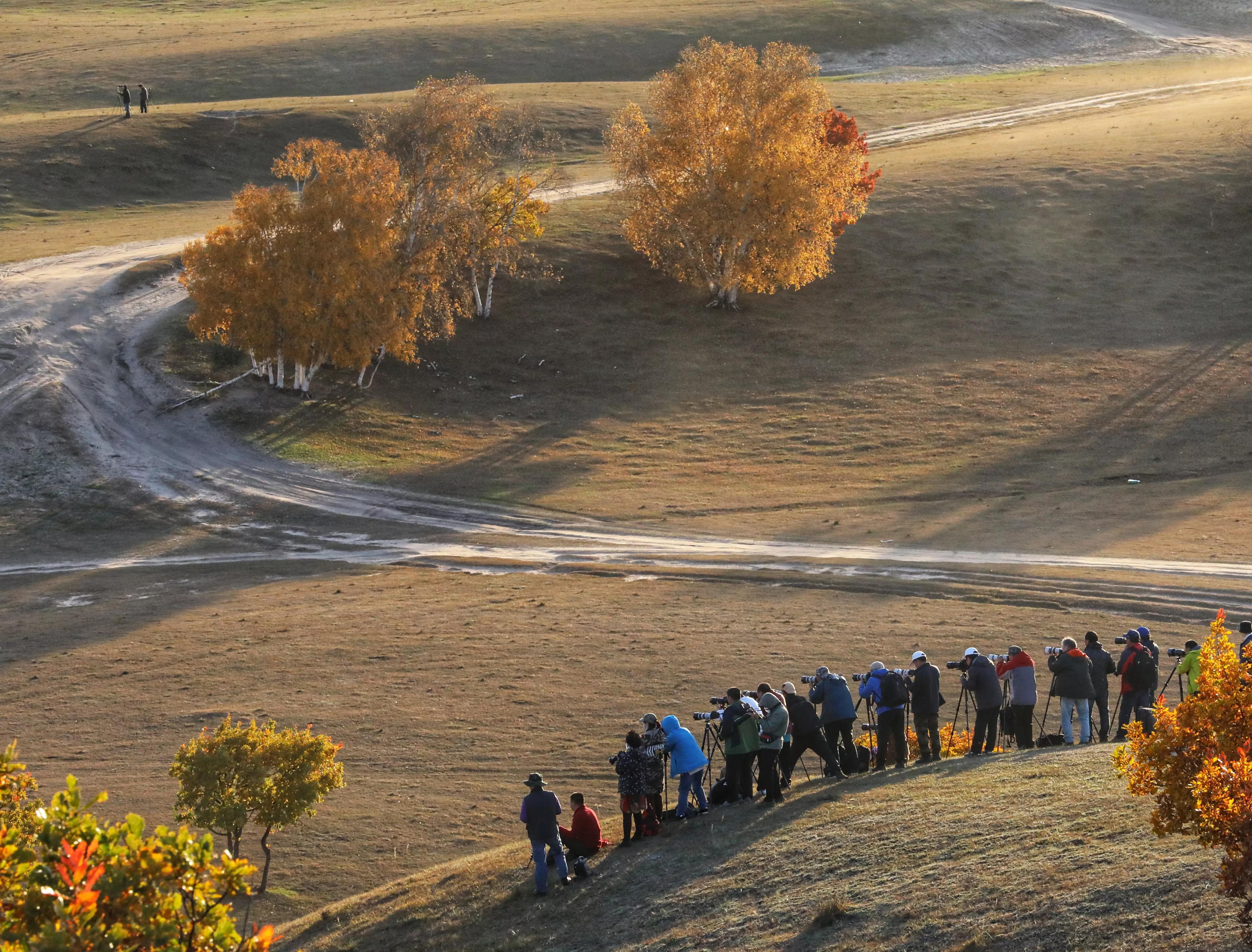 坝上秋色草原,坝上草原游记作文