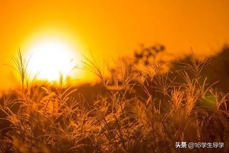 国学经典经史子集学习的先后顺序,国学经典当中的经史子集