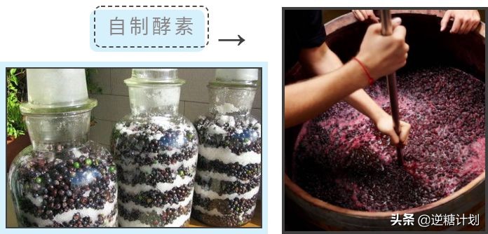 酵素辟谣焦点访谈,焦点访谈神奇的酵素你还信吗